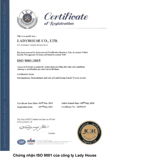 ISO 9001 Lady Goong