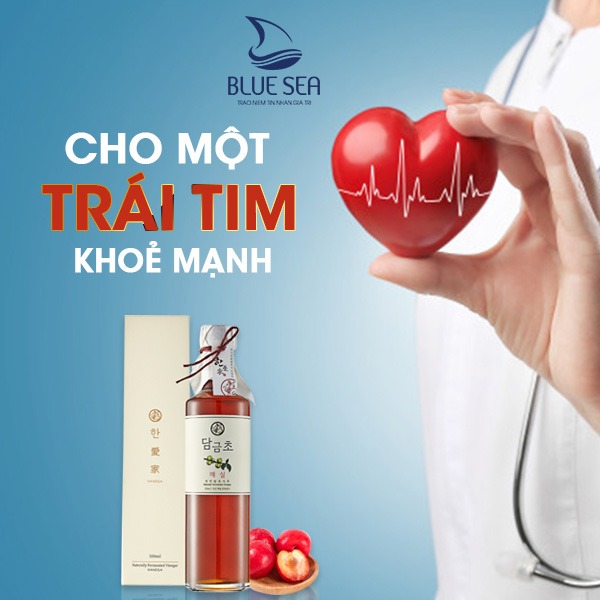 Giấm mận 