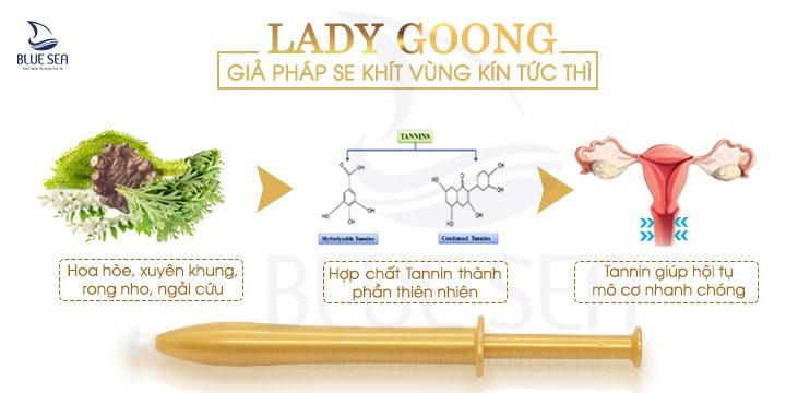 Lady Goong cơ chế hoạt động
