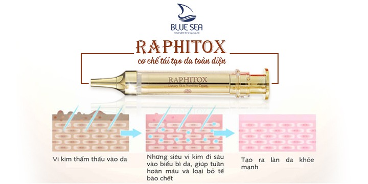 Hình ảnh tóm tắt cơ chế hoạt động của vi kim Raphitox