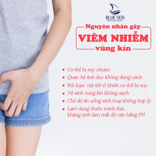 Nguyen Nhan Gay Viem Nhiem Phu Khoa