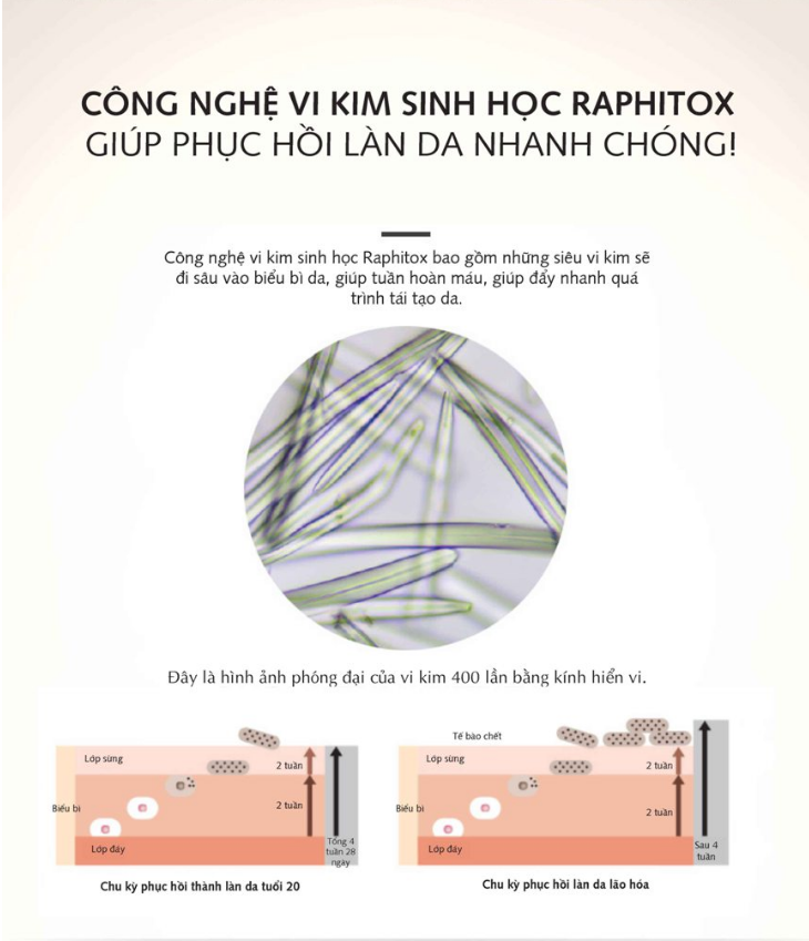 Nguyên lý hoạt động vi kim sinh học Raphitox