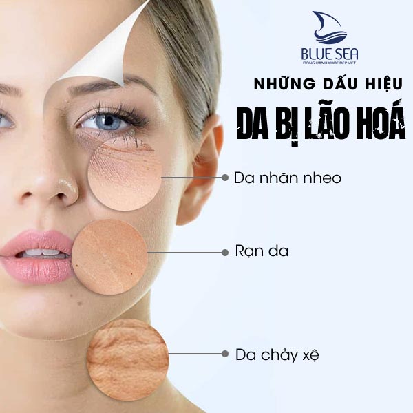 Những dấu hiệu da bị lão hoá.