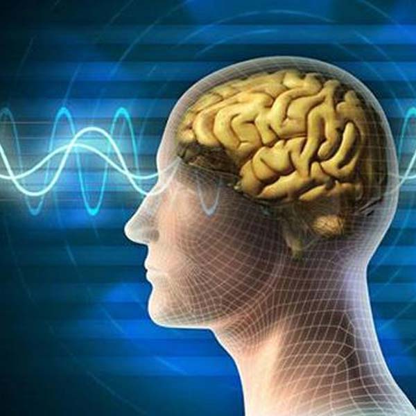 Dòng điện sinh học trong cơ thể và dòng điện thông thường.