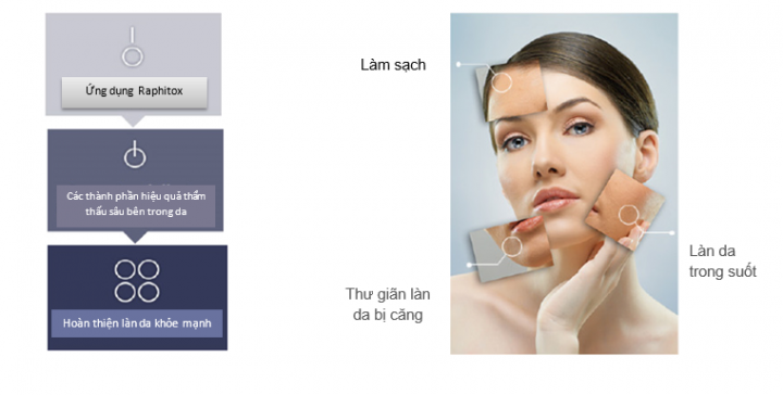 Cơ chế hoạt động của công nghệ vi kim sinh học Raphitox.
